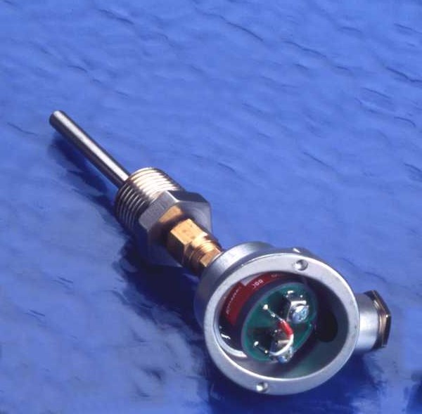 Temperature Probe With Head (LD, LDS, LDF)
